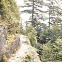 thumbnail of "The Trail"