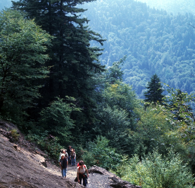Hikers At Alum Cave - 2
