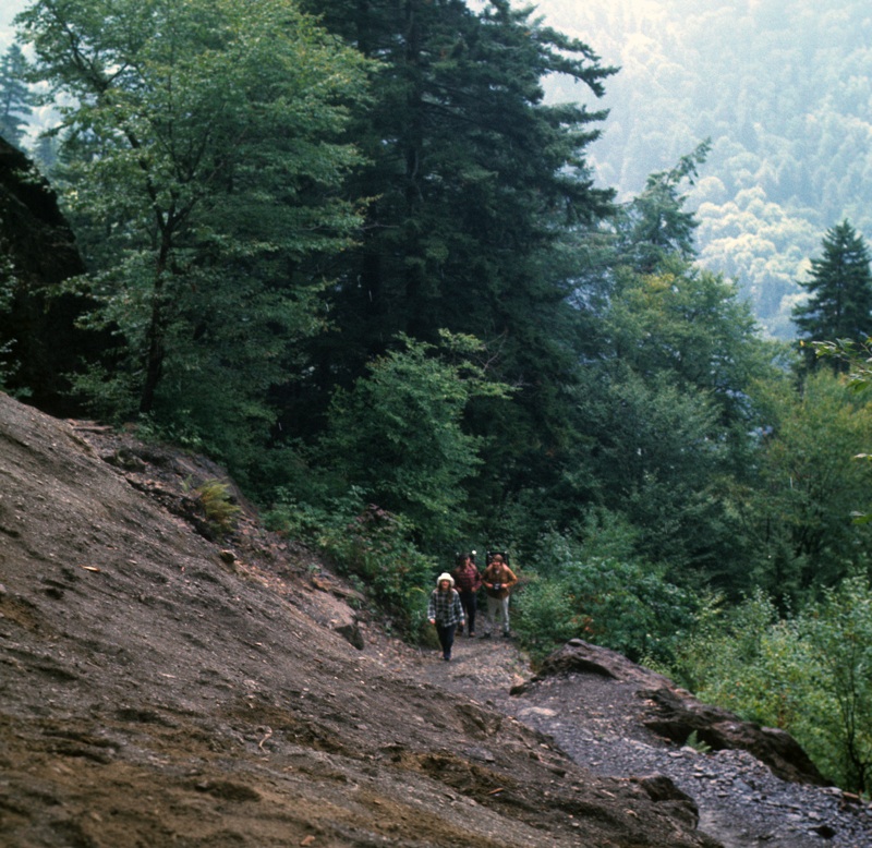 Hikers At Alum Cave - 3