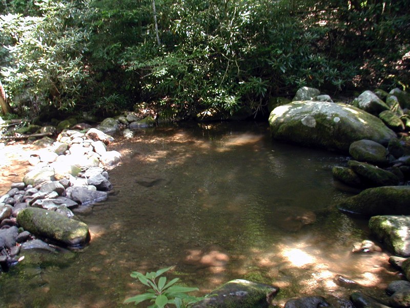 Creek Pool - 1