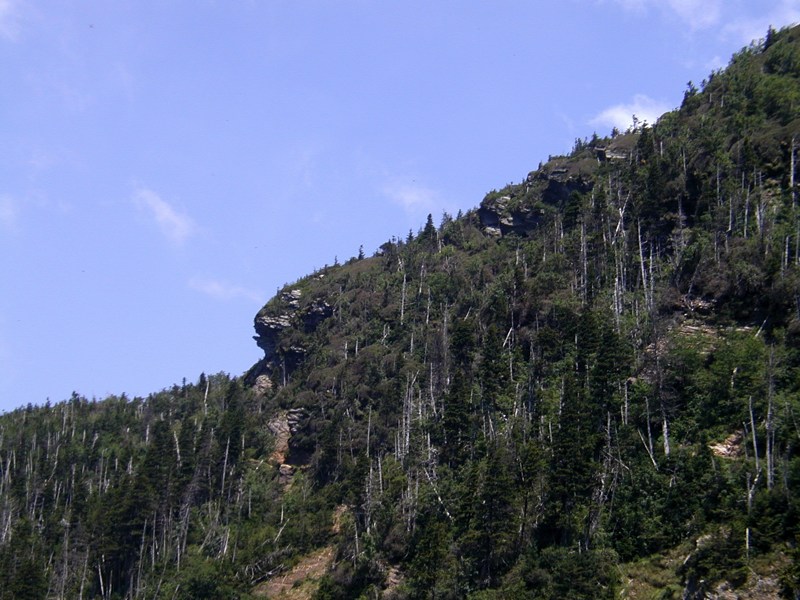 Cliff Top From Below - 1