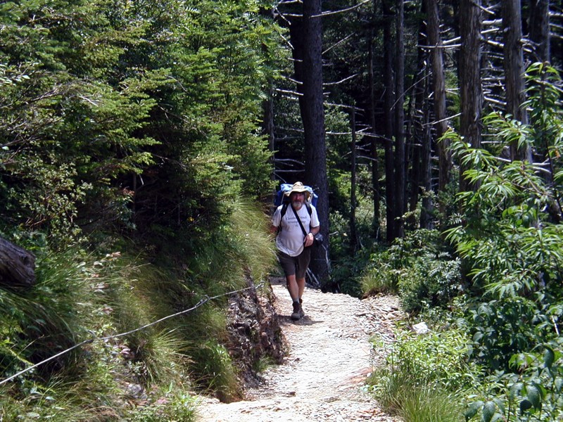 Henry on the trail