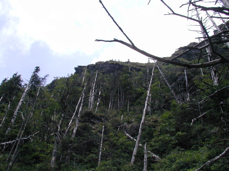 Cliff Top From Below - 2