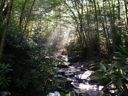 thumbnail of "Creek with early morning light - 2"