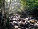thumbnail of "Creek with early morning light - 3"