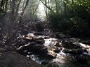 thumbnail of "Creek with early morning light - 4"
