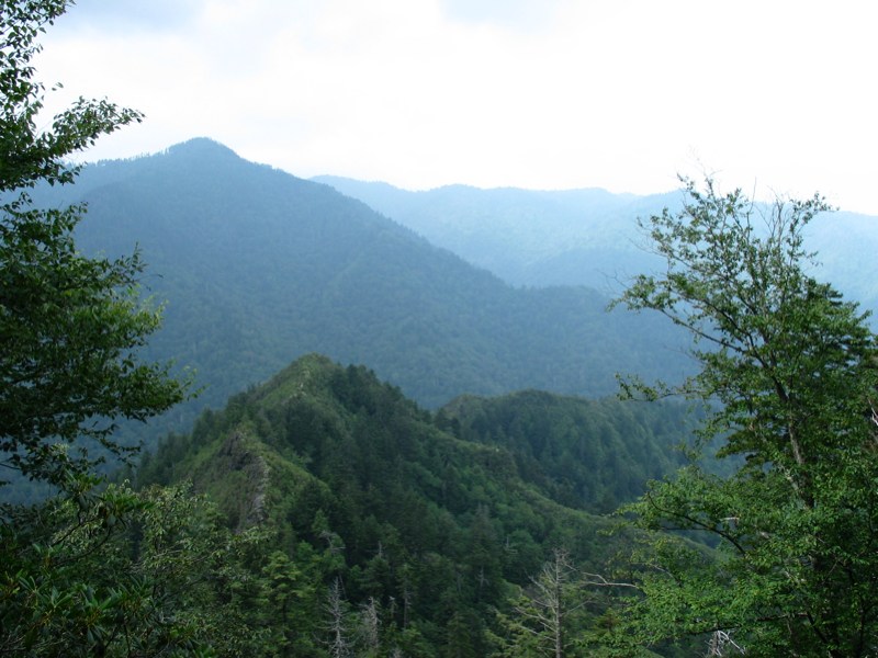 View From Alum Cave Trail - 3