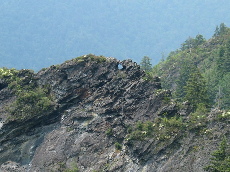 Eye Of The Needle
