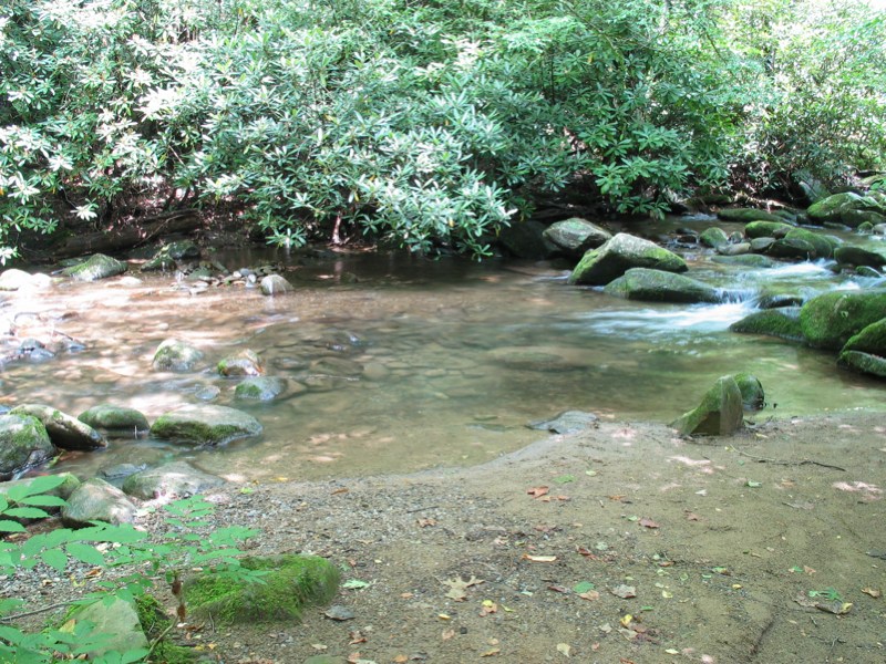 LeConte Creek - 1