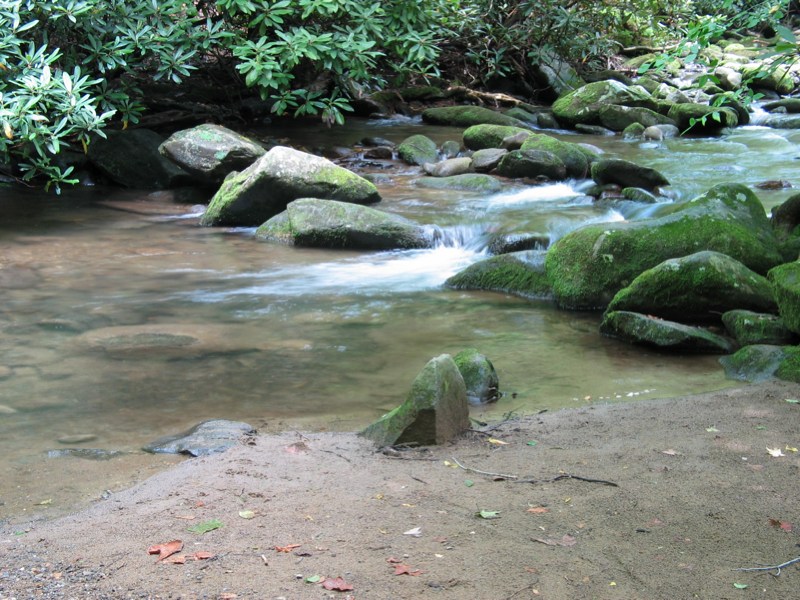 LeConte Creek - 2