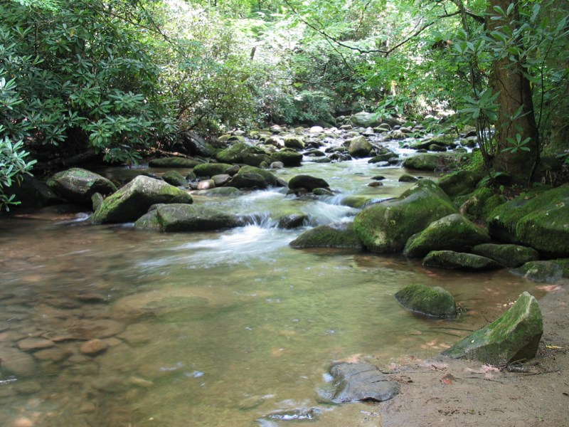 LeConte Creek - 4