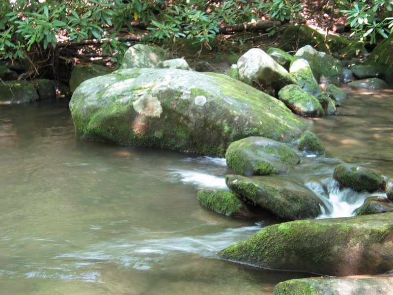 LeConte Creek - 8