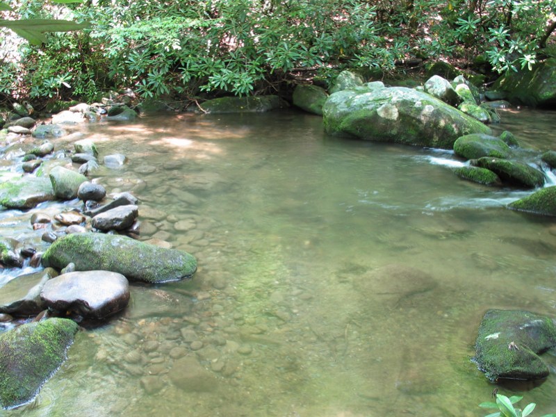 LeConte Creek - 9