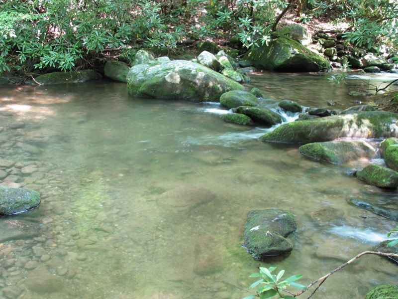 LeConte Creek - 10