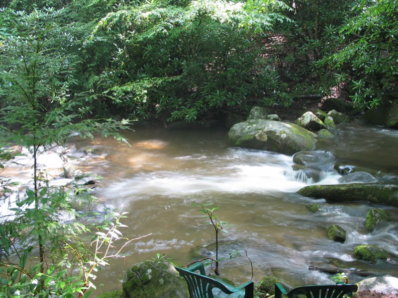 LeConte Creek - 11