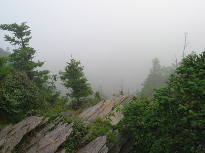 Misty Mountain- Near Cliff Top - 1