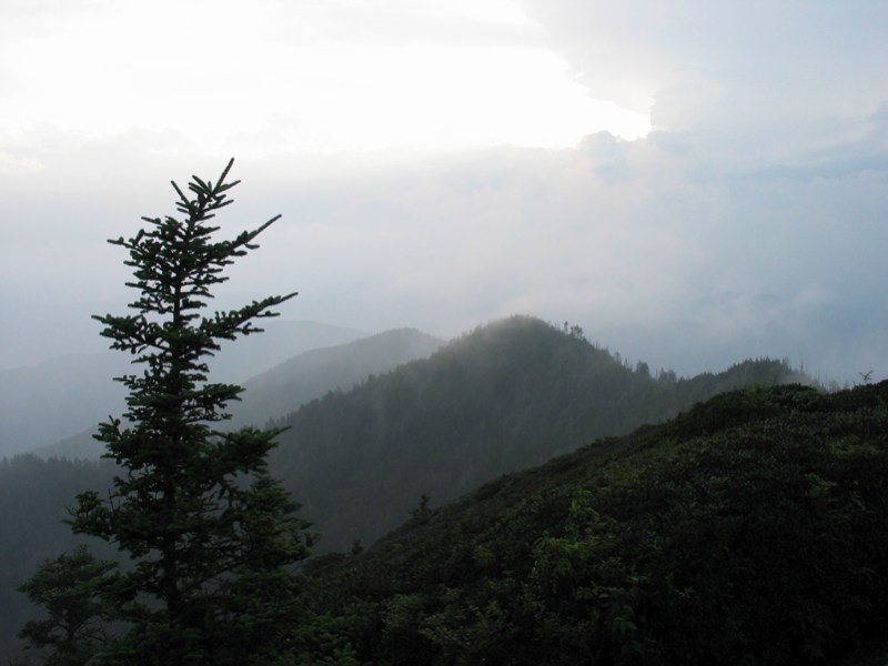Misty Mountain- Near Cliff Top - 2