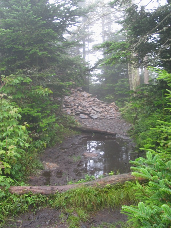 Rock Pile And Puddle