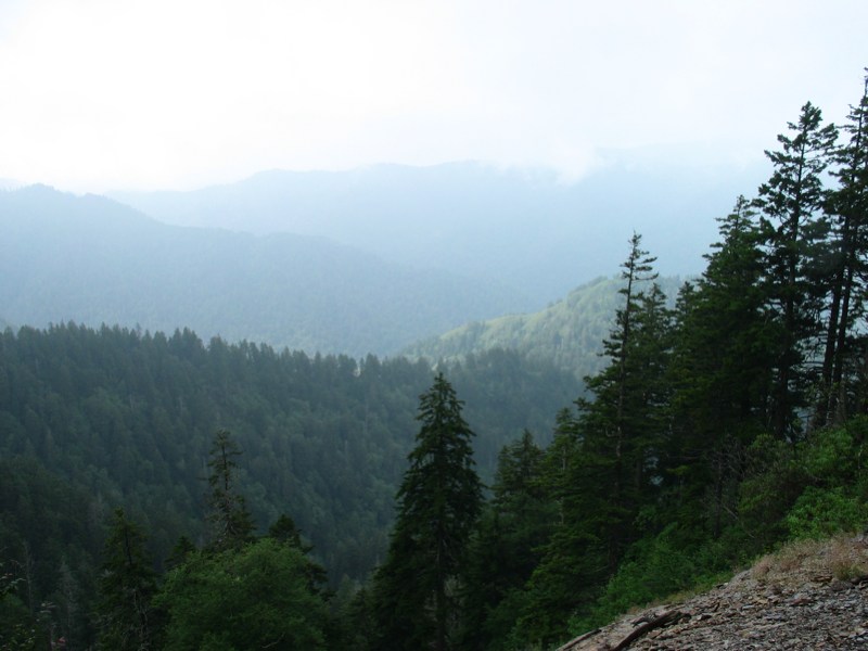 View From Alum Cave Trail - 1