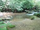 thumbnail of "LeConte Creek - 1"