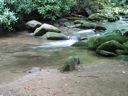 thumbnail of "LeConte Creek - 2"