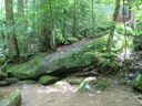 thumbnail of "Big Rock"