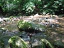 thumbnail of "LeConte Creek - 3"