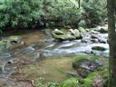 thumbnail of "LeConte Creek - 5"