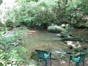 thumbnail of "LeConte Creek - 6"