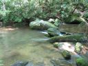 thumbnail of "LeConte Creek - 7"