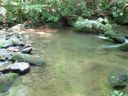 thumbnail of "LeConte Creek - 9"