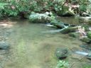 thumbnail of "LeConte Creek - 10"