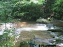 thumbnail of "LeConte Creek - 11"