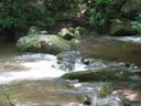 thumbnail of "LeConte Creek - 12"