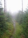 thumbnail of "Misty Trail From Myrtle Point - 3"