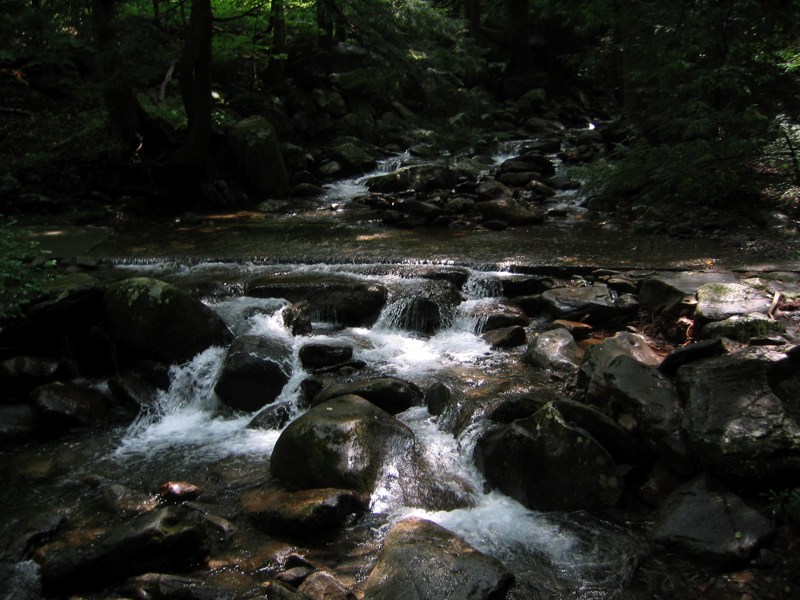 Creek on Bullhead