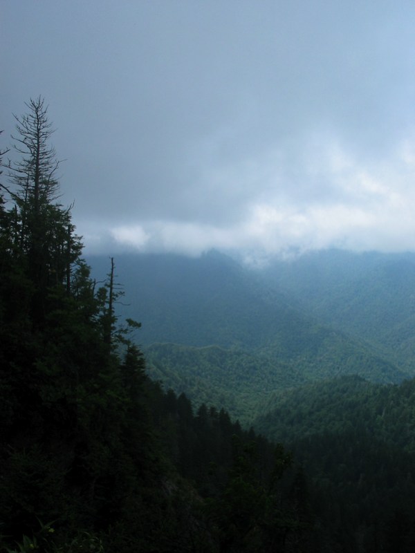 Fog on the mountain
