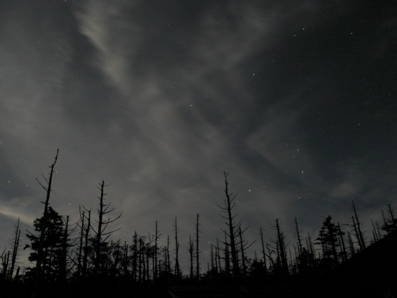 Starry Night On Mount LeConte edit