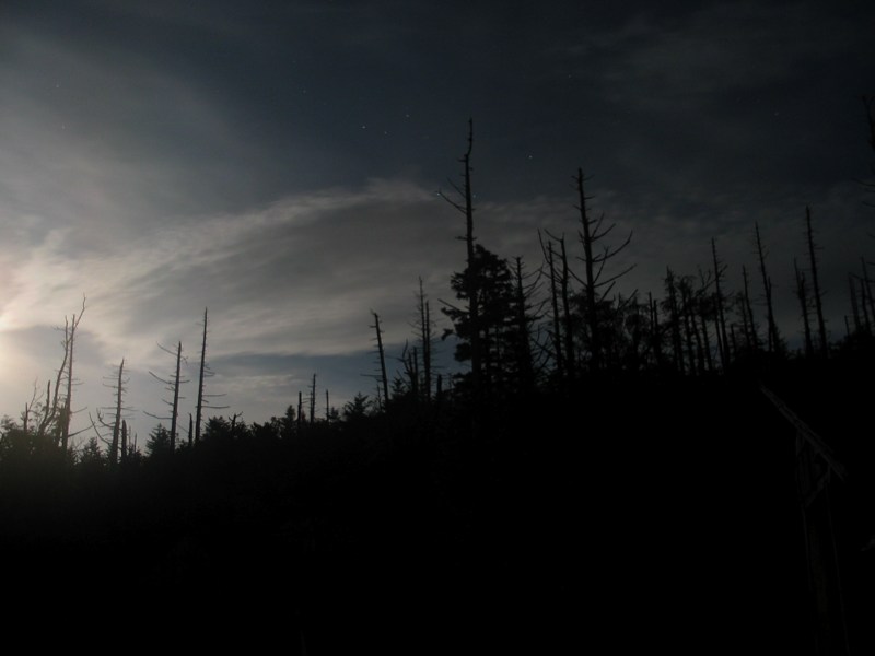 Sky Over Mount LeConte