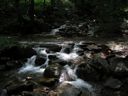 thumbnail of "Creek on Bullhead"