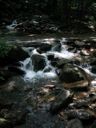 thumbnail of "Creek on Bullhead"