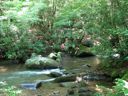thumbnail of "The Pool By The Cabin"