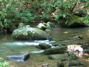 thumbnail of "The Pool By The Cabin"