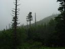 thumbnail of "Rain on the mountain"