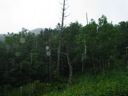 thumbnail of "Rain on the mountain"