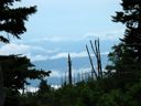 thumbnail of "On Top Of LeConte- After The Rain"