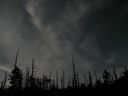 thumbnail of "Starry Night On Mount LeConte edit"