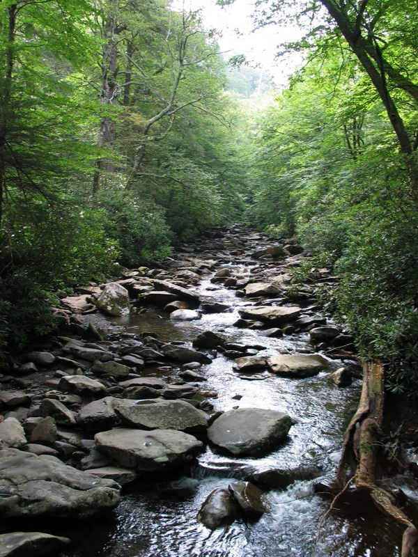 Creek From The Bridge