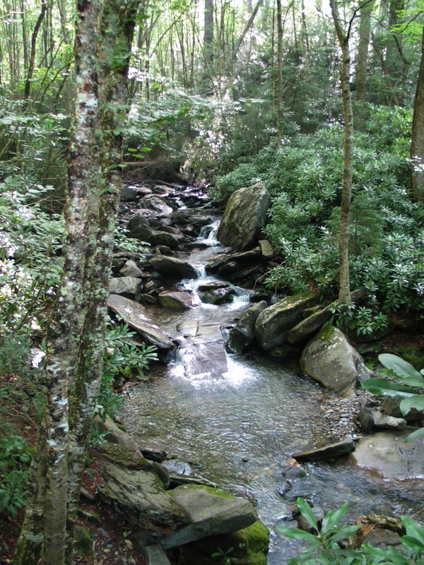 Creek From The Trail