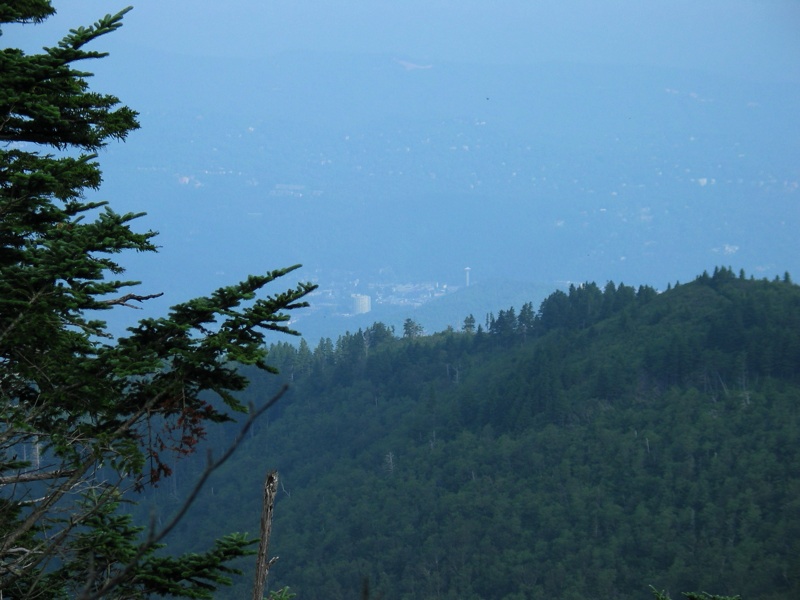 Distant Gatlinburg